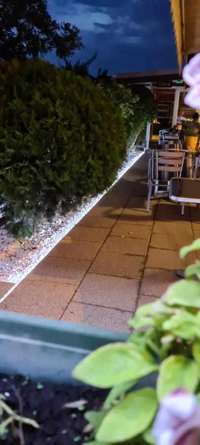 Pensiunea Zodiac Temešvár Exteriér fotografie